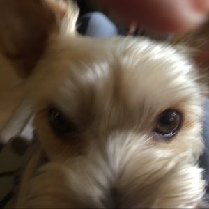 Meet your Posher, Karen